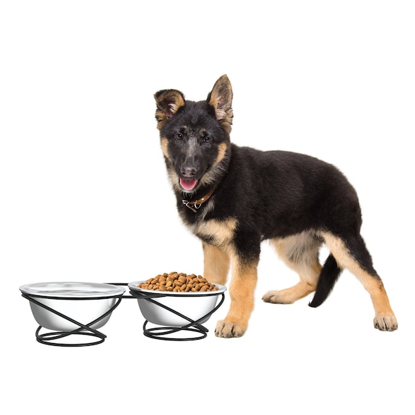 Pet Adobe Stainless Steel Elevated 2-piece Pet Bowls with Decorative 3.5 in Stand for Dogs/Cats, 40 oz 655130HHU - main